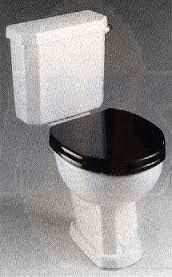 Plaza Seat and Cover Black includes Chrome Hinge Set  Black Ideal Standard Code Under Cistern Lid 151/226/ H/M251 125