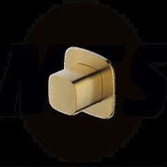 RAK Petit Sq Conc Diverter, Dual Outlet RAKPES3020-2G Bathroomsuites