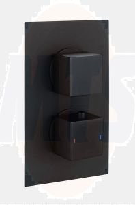 RAK Sq Dual Outlet, 2 Handle Therm Conc Shwr Valve RAKSHW3202SB Bathroomsuites