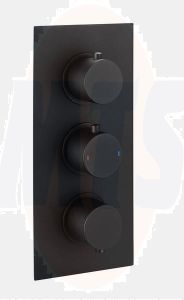 Round Dual Outlet, 3 Handle Therm Conc Shwr Valve RAKSHW3203RB Bathroomsuites