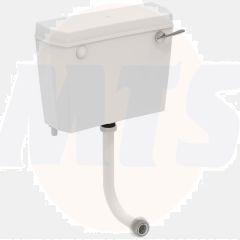 A/Shks S115901 Regal Cist Bi Wht L/L