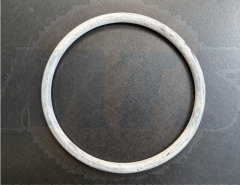 Geberit PE O-ring di124x8 - 368 789 001
