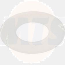 TECE Flush Valve Seal