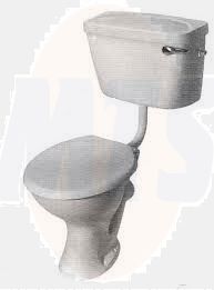 Toilet and Cover Armitage Shanks replacement Magnia Toilet Seat S4055SW HoneyMoon code under Toilet  cistern lid