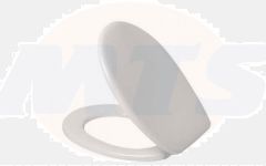 Toilet seat with soft close and lift-off incl. hinges in stainless steel