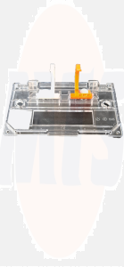 VitrA Norm Protective Cover Group 436952YP 