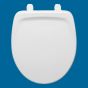 Armitage Shanks Toilet Seat Saturn Toilet Seat Ideal Standard S404020 Chablis THIS IS A REPLACEMENT SEAT NOT ORIGINAL 