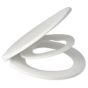 Bemis Reybridge Family Seat 8100PB000 Bathroomsuites