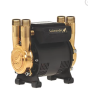 CTFORCE30PT