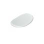 Flaminia IO Soft Close Seat and Cover IOCW05