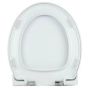GSI Panorama Standard Close with fittings  SLIGHT CHIP AT THE FRONT HARD TO SEE