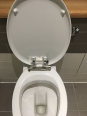 purity_toilet_seat_k704301_2d