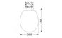 Tiger Soft-Close Toilet Seat Memphis Duroplast White 252930646  4008912529424