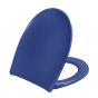 Toilet seat with soft close and lift-off incl. hinge in stainless steel