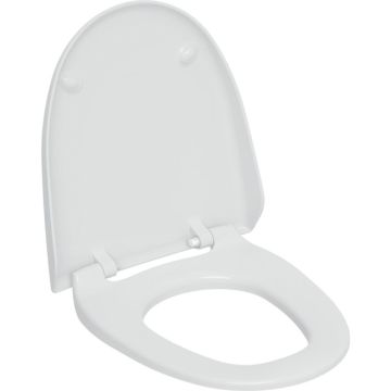 Geberit 250.034.CG.1 Toilet seat cover for Geberit AquaClean 8000plus / 8000 Manhattan / Glossy