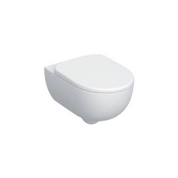 Geberit Selnova Toilet Seat and Cover Soft Close with Top Fixing  Hinge  500.333.01.1