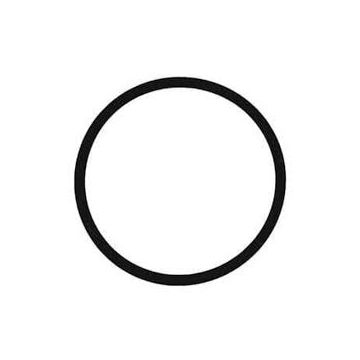 IDEAL STANDARD O-RING 31.47 X 1.78 A963154NU