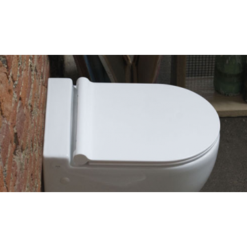 AXA ONE SLIM ORIGINAL SOFT-CLOSE  TOILET SEAT AFS1301