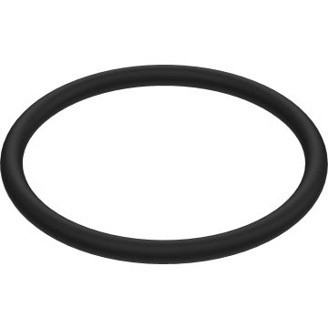 FLUSH VALVE HOLDER O-RING BG0033