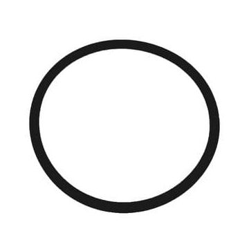 Dornbracht Ring Seal 09141004990
