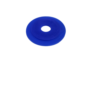 Seal For Flush Valve With Ridge