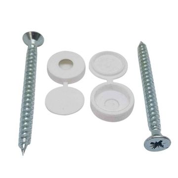 DOMEX PACK WHITE SCREW & PROCASTER PAIR