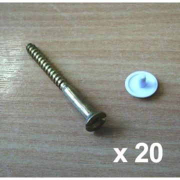 DOMEX SCREWS WHITE BAG OF 10            