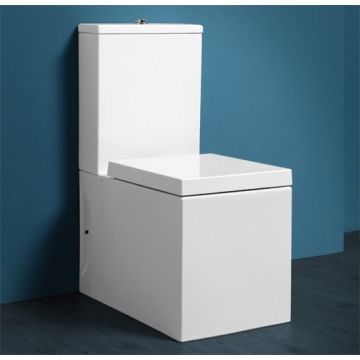 Simas Frozen Original Toilet Seat and Cover Slow Close Frozen FZ004 SIMFZ004