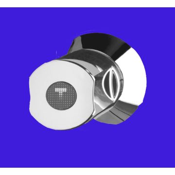 Trevi Shower Valve  Trevi Logo Indice  Old Style in Grey A907294LJ
