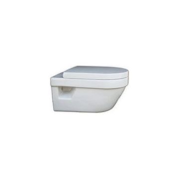 Villeroy & Boch Omnia Continuous Hinge 8824.61 Toilet Seat, 9M51B101