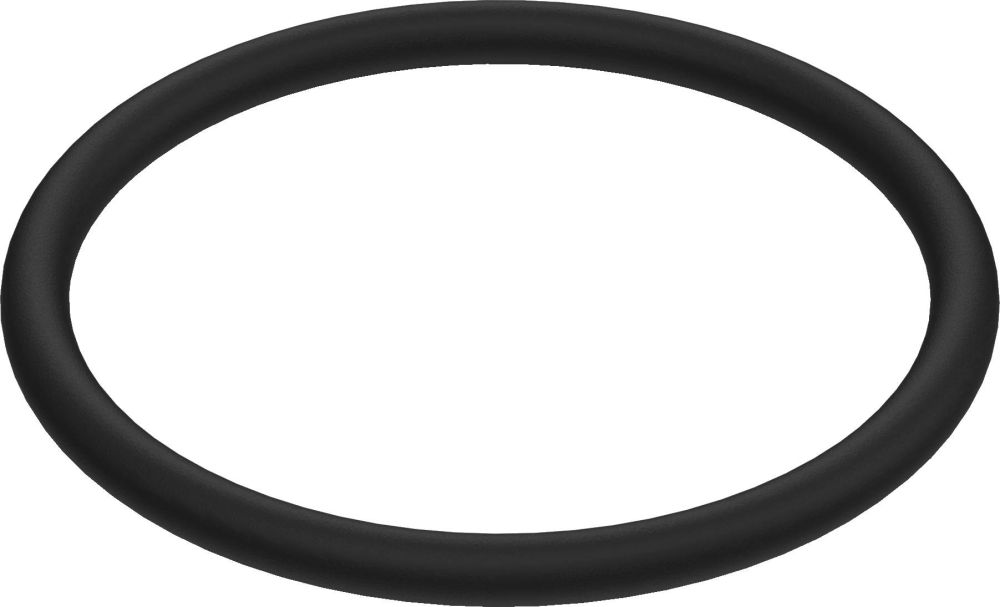 FLUSH VALVE HOLDER O-RING BG0033
