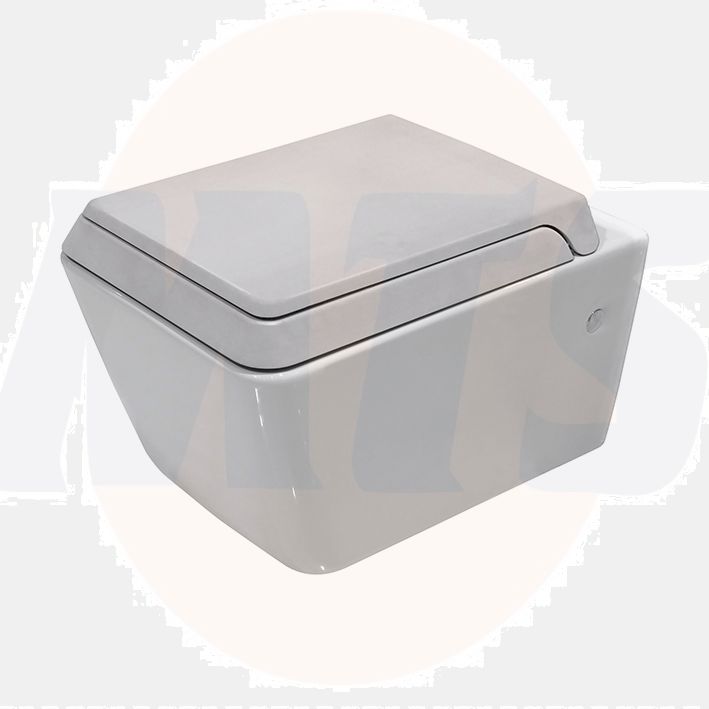 Fixing kit seat for Porcelanosa Lounge  toilet L/O 100129106 N499817005 (Hinges Only)