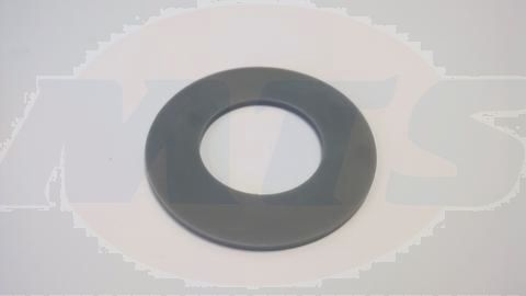 2008112 - Flushe Seal for FL4042
