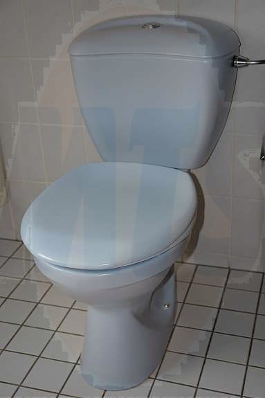 Villeroy & Boch Gran gracia Seat and Cover Villeroy & Boch Grangracia Toilet Seat 88226101