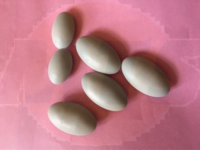 A9032 Accent Toilet Seat Buffers 92209000