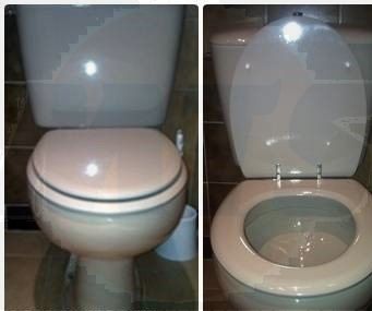 REPLACEMENT BELLAVISTA-CAPRI TOILET SEAT AND COVER WHITE  REPLICA