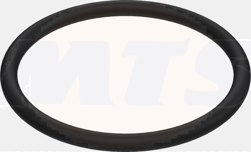 FLUSH VALVE HOLDER O-RING BG0033