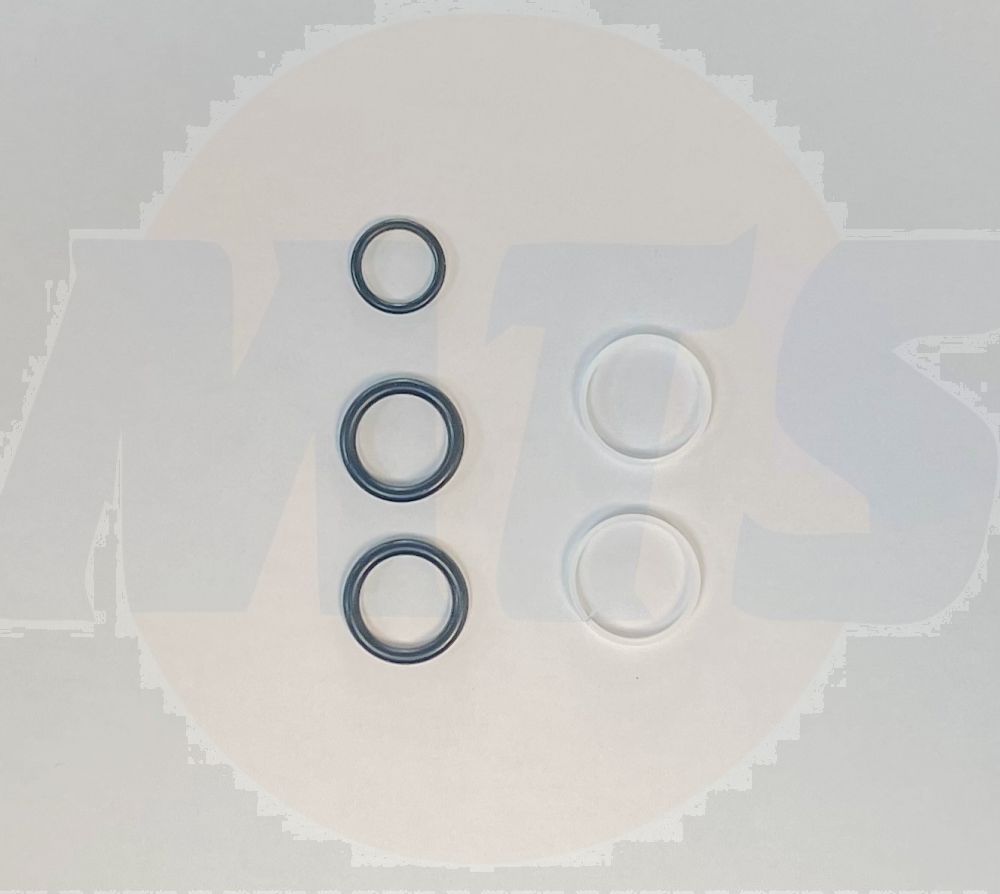 BLANCO PLASTIC O-RING SET SPOUT FOR 00139945 - MTS587Bb