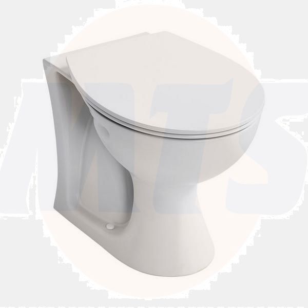 A/Shks E897401 Sandringham21 BTW Bowl HO