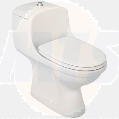Porcher Veneto Toilet Seat and Cover with Hinges 67002497108