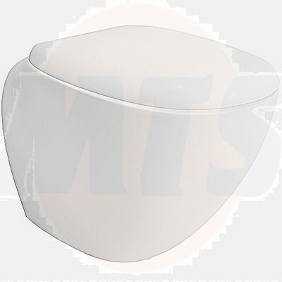 Pozzi Ginori Easy Toilet Seat and Cover with Hinges 500 chrome 8017895035637  Pozzi Ginori 42761000