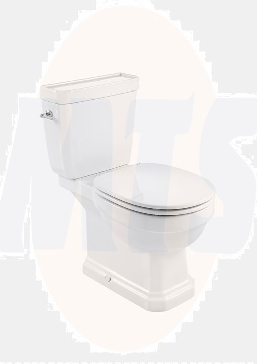 Roca Carmen close-coupled Rimless WC with dual outlet A3420A7000
