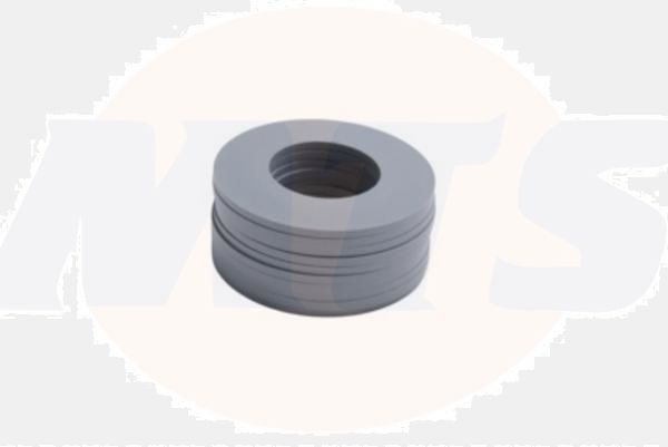 PROSYS SEAL FOR 120 OUTLET VALVE