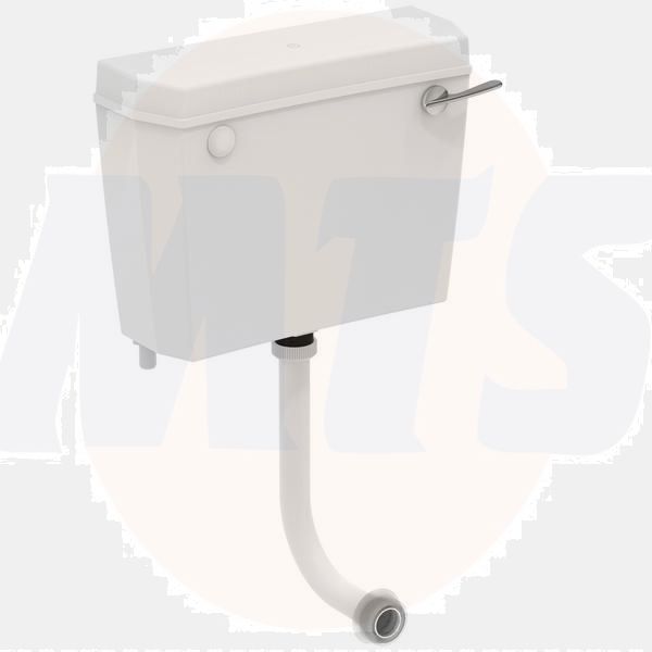 A/Shks S115901 Regal Cist Bi Wht L/L