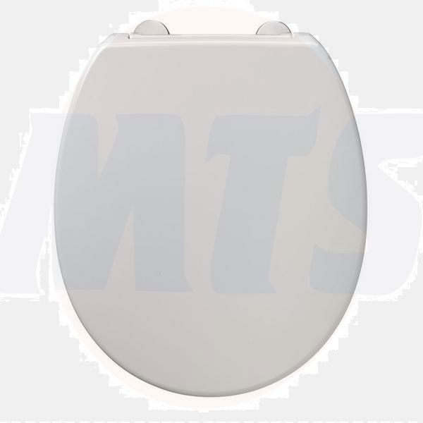 Armitage Shanks Contour 21 toilet seat and cover top fixing hinges S406501