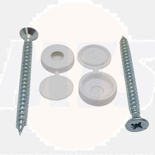 DOMEX PACK WHITE SCREW & PROCASTER PAIR