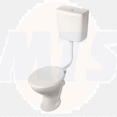 Sandringham Armitage Shanks Sandringham 21 Magnia Cistern with Flush Pipe E876101