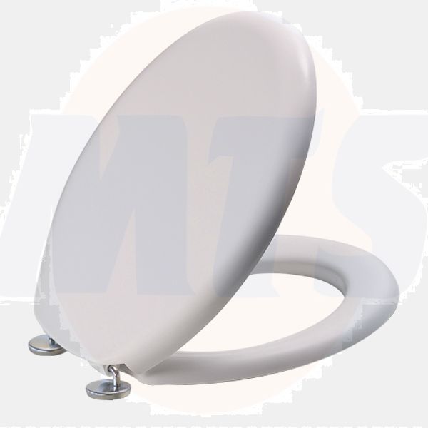 Saniplast Tango with stainless steel, adjustable and bottom fixing hinges 2FSE172102