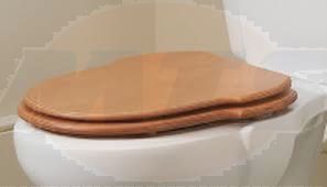 SANITANA-Grecia Toilet seat and cover Original Seat 5604173213950 Cherry colour