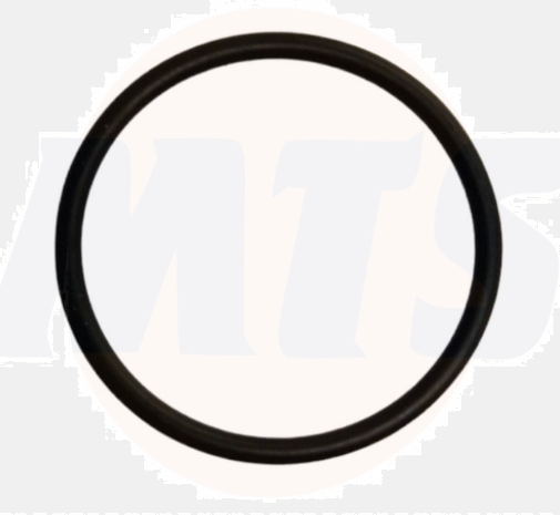 Dornbracht 09141009890 O Ring